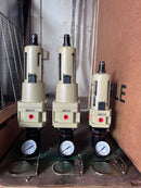 Air Filter Regulator (1/2'', 3/4'', 1'') C/W Auto Drain | Model: AF-A-AW Aik Chin Hin 