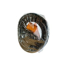 Float Switch 10M(Auto) for Water Pump