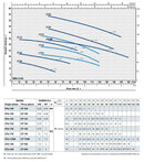 Aiko 1"x1" 1HP 230V Centrifugal Water Pump | Model : WP-A-CPM158 Water Pump Centrifugal Aiko 