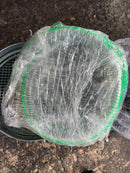 Aiko ZFGP-20 Electric Cement Grout Pump with 240V Single Phase Come with Hose | Model : ZFGP-20 Cement Grout Pump Aiko 