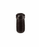 BOSCH CLAMP SCREW (2603400000) (PST54/54E,GST60PB/PBE) - Aikchinhin