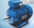 Emm Motor 5.5Hp 2P 3000Rpm 415V 50Hz Model : CM-EM112M-2 Motor EMM 