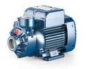 Pedrollo 1" x 1" 240V 40m maxH Water Pump | Model : WP-P-PKM60 Water Pump Pedrollo 