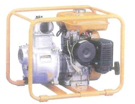 Robin Gasoline 3