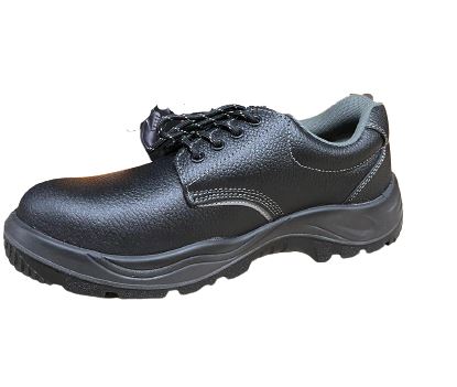 Safetyfit Safety Shoe D12800 | Model : SHOE-S800 | Uk Size : 5, 10 Safety Shoes SafetyFit 