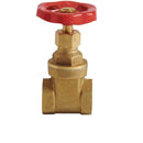 Showy Brass Gate Valve 1/2" -5091 | Model : SHOWY-5091 Gate Valve Showy 