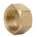 Showy Female Screw Cap 1/2" 5196 | Model : SHOWY-5196 Screw Cap Showy 